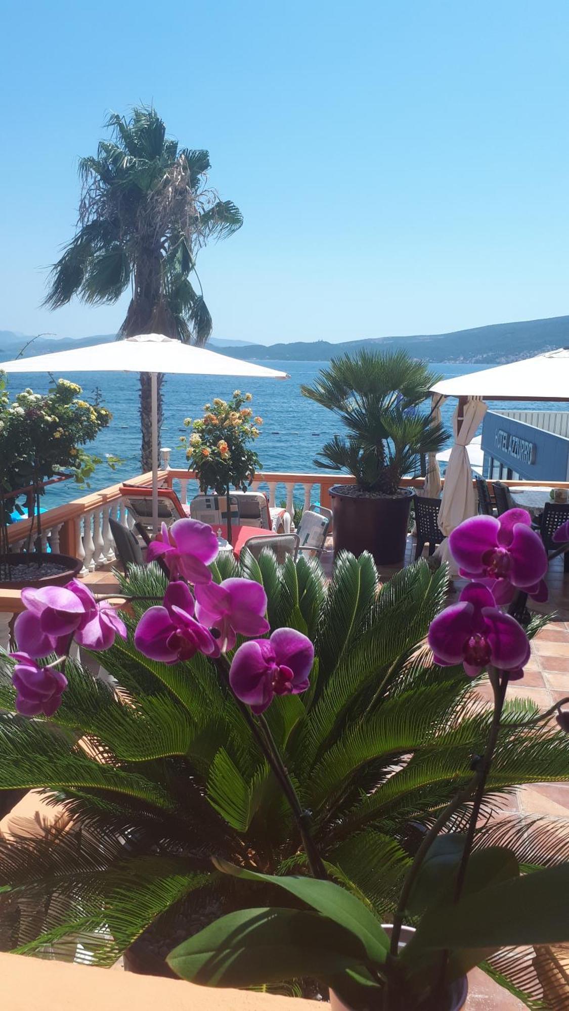 Apartmani Kalinic Биела Экстерьер фото